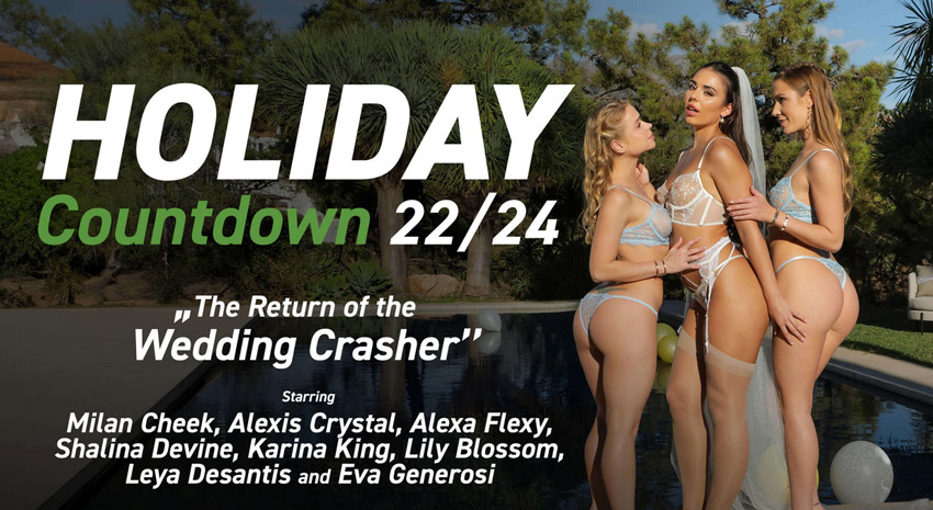 lifeselector-free-credits-christmas-holiday